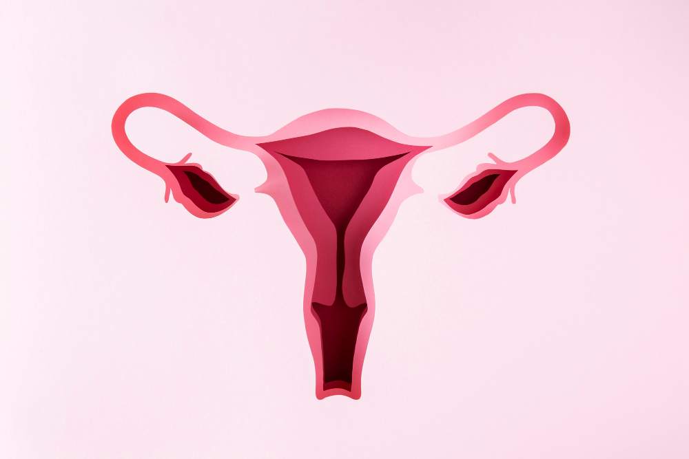 Vaginální rejuvenace